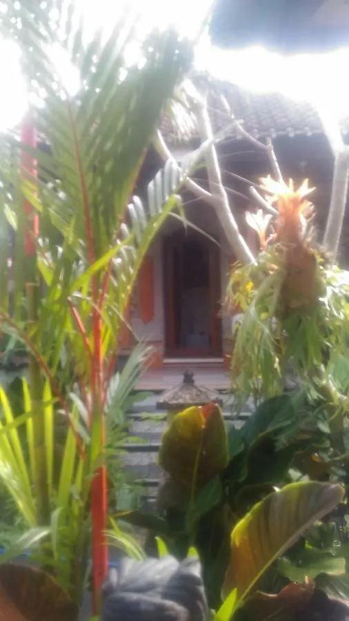 Guest house Dewi Antara Homestay Ubud  Indonesia